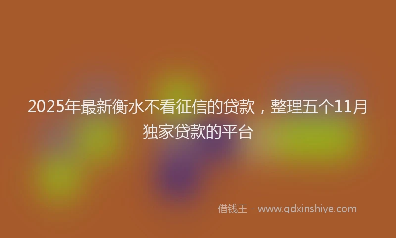 2025年最新衡水不看征信的贷款,整理五个11月独家贷款的平台