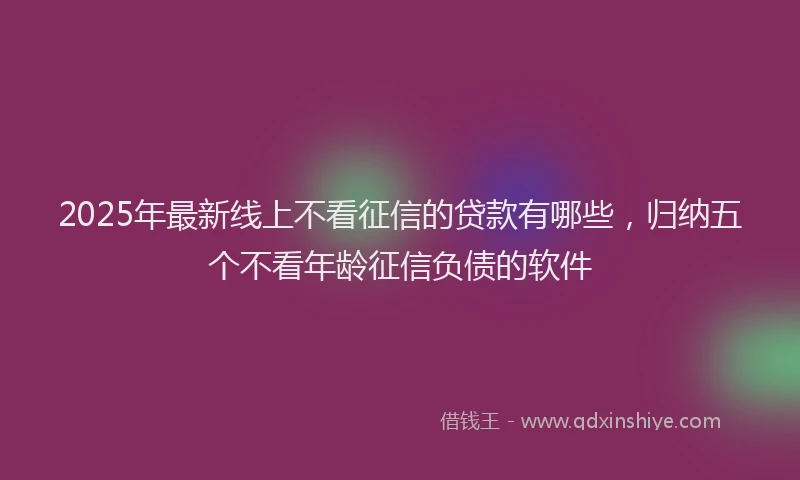 2025年最新线上不看征信的贷款有哪些，归纳五个不看年龄征信负债的软件
