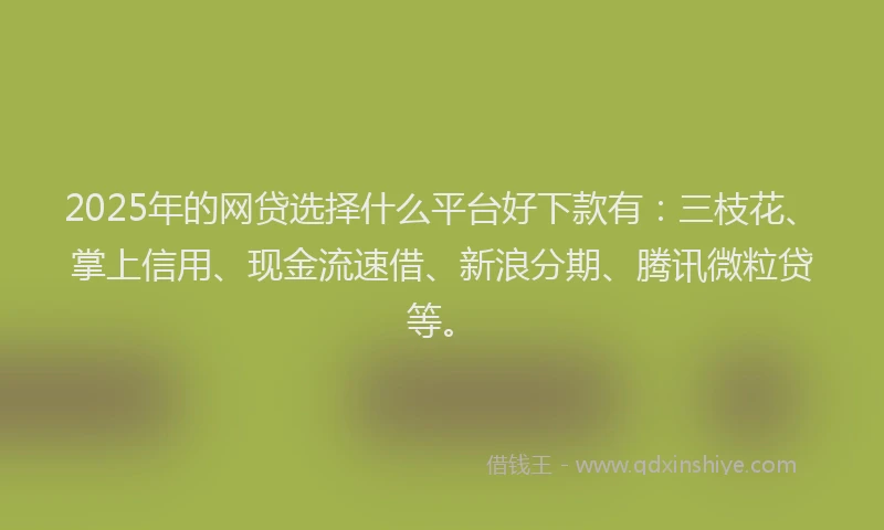 2025年的网贷选择什么平台好下款有：三枝花、掌上信用、现金流速借、新浪分期、腾讯微粒贷等。