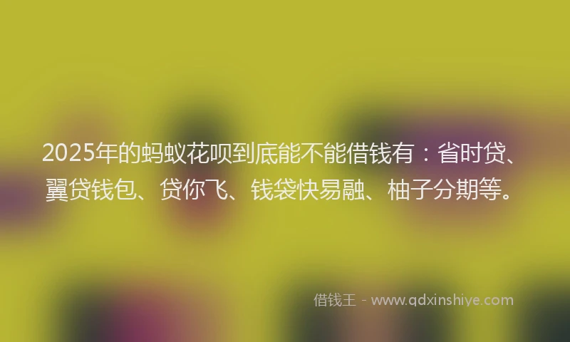 2025年的蚂蚁花呗到底能不能借钱有：省时贷、翼贷钱包、贷你飞、钱袋快易融、柚子分期等。