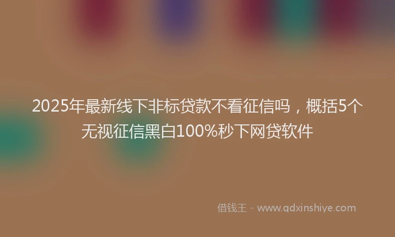 2025年最新线下非标贷款不看征信吗,概括5个无视征信黑白100%秒下网贷软件