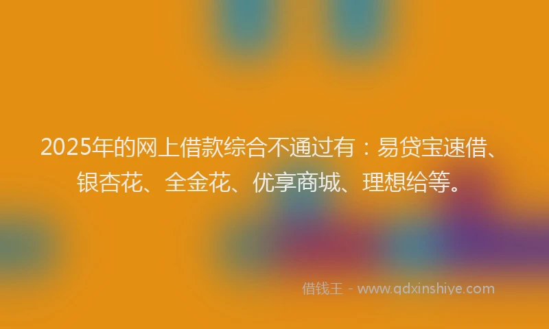 2025年的网上借款综合不通过有：易贷宝速借、银杏花、全金花、优享商城、理想给等。