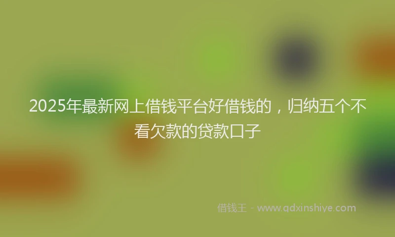 2025年最新网上借钱平台好借钱的，归纳五个不看欠款的贷款口子