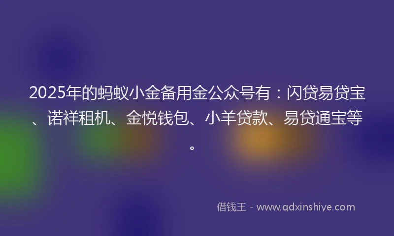 2025年的蚂蚁小金备用金公众号有：闪贷易贷宝、诺祥租机、金悦钱包、小羊贷款、易贷通宝等。