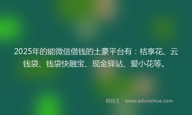 2025年的能微信借钱的土豪平台有：桔享花、云钱袋、钱袋快融宝、现金驿站、爱小花等。
