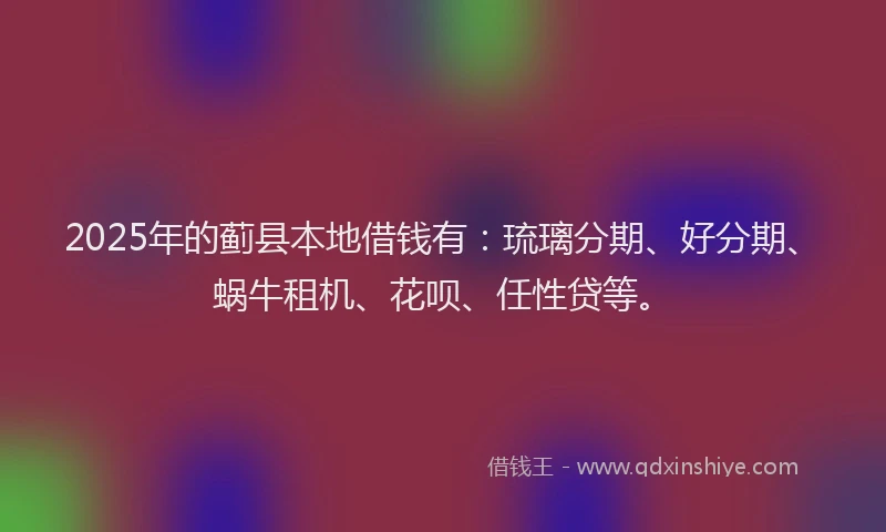 2025年的蓟县本地借钱有：琉璃分期、好分期、蜗牛租机、花呗、任性贷等。