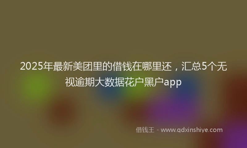 2025年最新美团里的借钱在哪里还，汇总5个无视逾期大数据花户黑户app