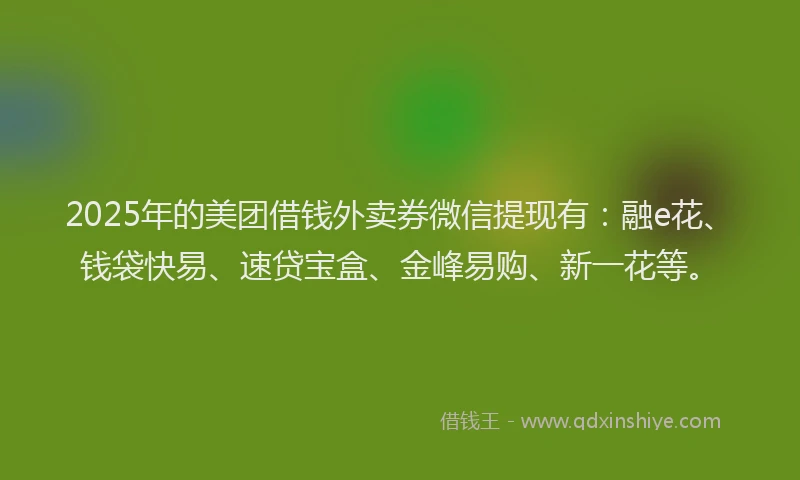 2025年的美团借钱外卖券微信提现有：融e花、钱袋快易、速贷宝盒、金峰易购、新一花等。