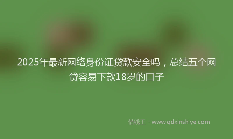 2025年最新网络身份证贷款安全吗，总结五个网贷容易下款18岁的口子