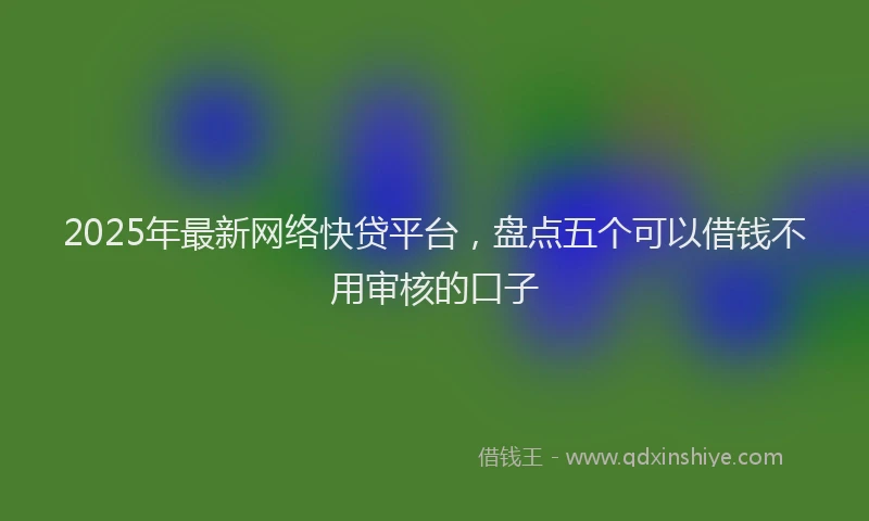 2025年最新网络快贷平台，盘点五个可以借钱不用审核的口子
