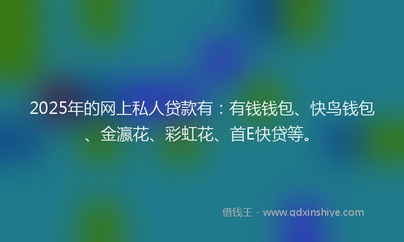 2025年的网上私人贷款有：有钱钱包、快鸟钱包、金瀛花、彩虹花、首E快贷等。