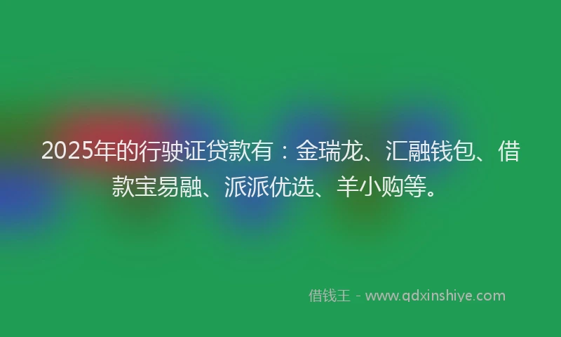2025年的行驶证贷款有：金瑞龙、汇融钱包、借款宝易融、派派优选、羊小购等。