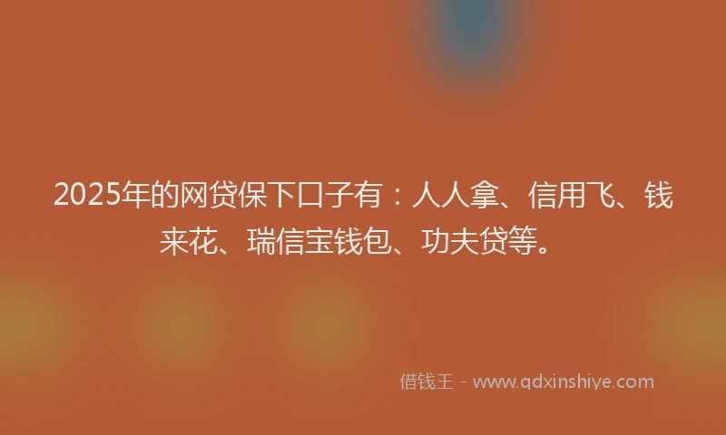 2025年的网贷保下口子有：人人拿、信用飞、钱来花、瑞信宝钱包、功夫贷等。
