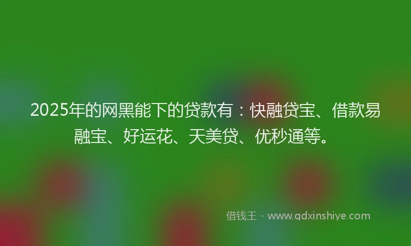 2025年的网黑能下的贷款有：快融贷宝、借款易融宝、好运花、天美贷、优秒通等。