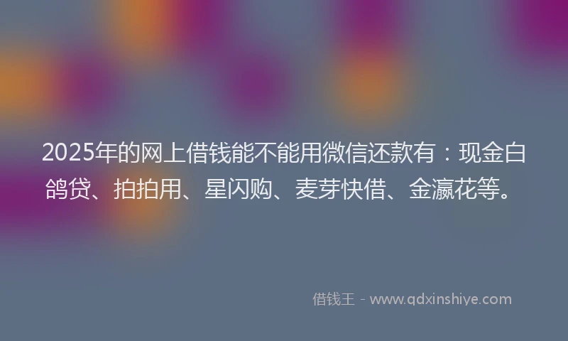 2025年的网上借钱能不能用微信还款有：现金白鸽贷、拍拍用、星闪购、麦芽快借、金瀛花等。