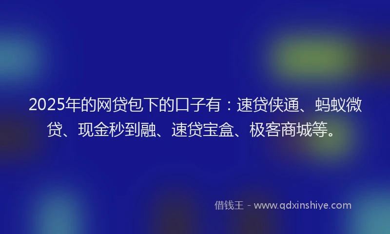 2025年的网贷包下的口子有：速贷侠通、蚂蚁微贷、现金秒到融、速贷宝盒、极客商城等。