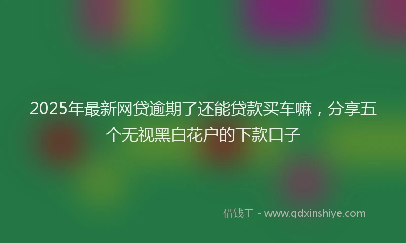 2025年最新网贷逾期了还能贷款买车嘛，分享五个无视黑白花户的下款口子