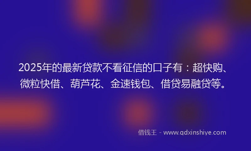 2025年的最新贷款不看征信的口子有：超快购、微粒快借、葫芦花、金速钱包、借贷易融贷等。