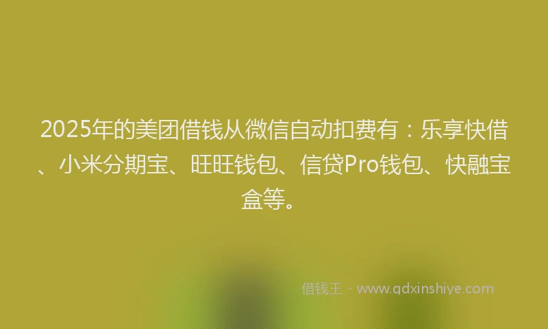 2025年的美团借钱从微信自动扣费有：乐享快借、小米分期宝、旺旺钱包、信贷Pro钱包、快融宝盒等。