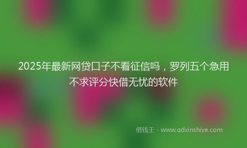 2025年最新网贷口子不看征信吗，罗列五个急用不求评分快借无忧的软件