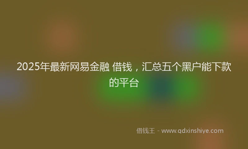 2025年最新网易金融 借钱，汇总五个黑户能下款的平台