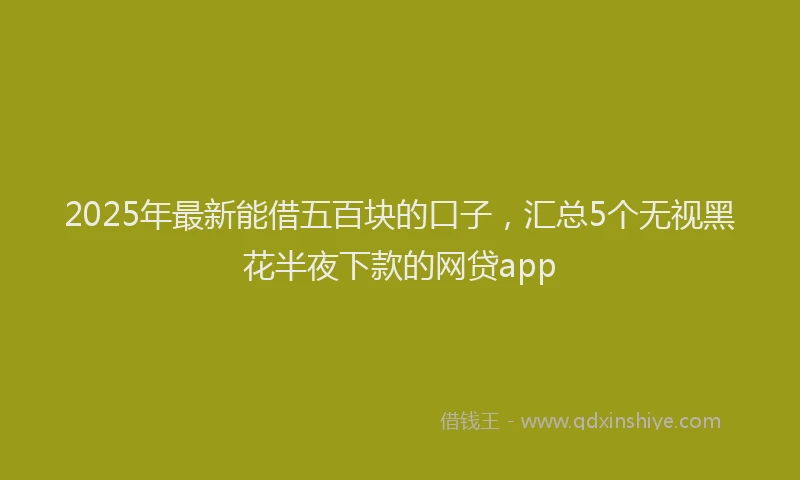 2025年最新能借五百块的口子，汇总5个无视黑花半夜下款的网贷app