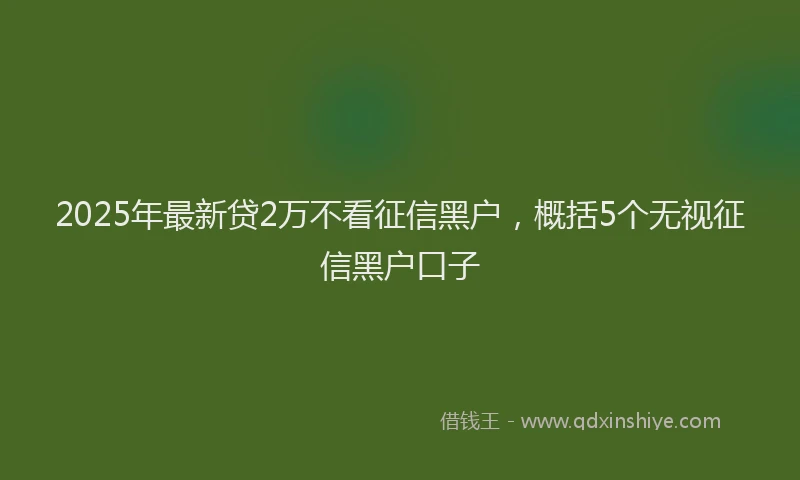 2025年最新贷2万不看征信黑户，概括5个无视征信黑户口子