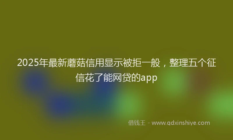 2025年最新蘑菇信用显示被拒一般，整理五个征信花了能网贷的app