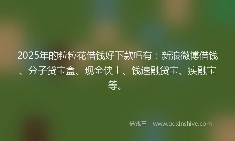2025年的粒粒花借钱好下款吗有：新浪微博借钱、分子贷宝盒、现金侠士、钱速融贷宝、疾融宝等。