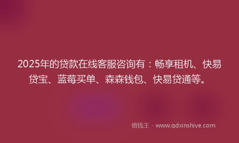 2025年的贷款在线客服咨询有：畅享租机、快易贷宝、蓝莓买单、森森钱包、快易贷通等。
