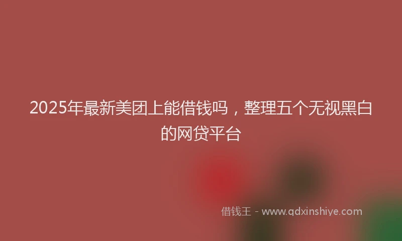 2025年最新美团上能借钱吗，整理五个无视黑白的网贷平台
