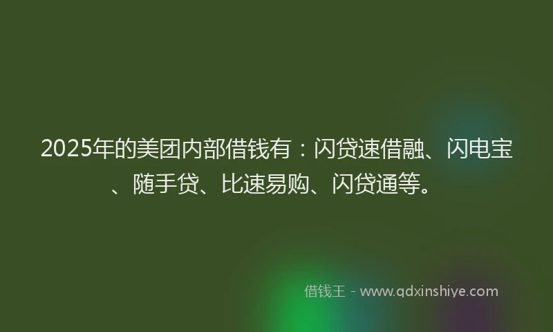 2025年的美团内部借钱有：闪贷速借融、闪电宝、随手贷、比速易购、闪贷通等。