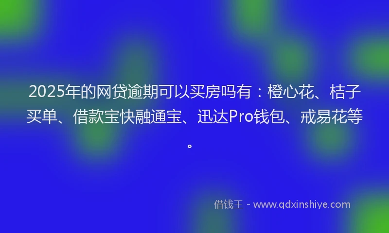 2025年的网贷逾期可以买房吗有：橙心花、桔子买单、借款宝快融通宝、迅达Pro钱包、戒易花等。