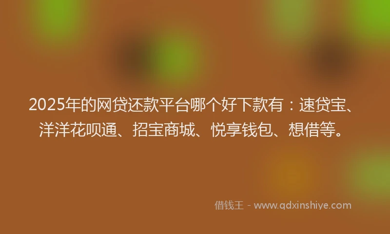 2025年的网贷还款平台哪个好下款有：速贷宝、洋洋花呗通、招宝商城、悦享钱包、想借等。