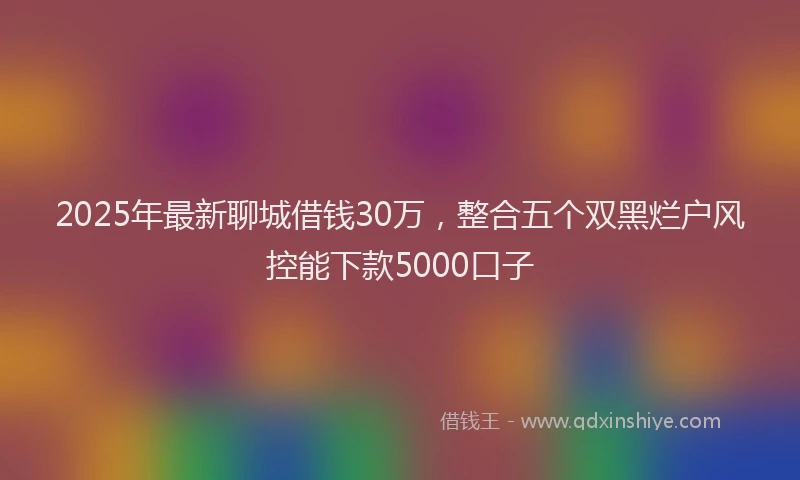 2025年最新聊城借钱30万，整合五个双黑烂户风控能下款5000口子