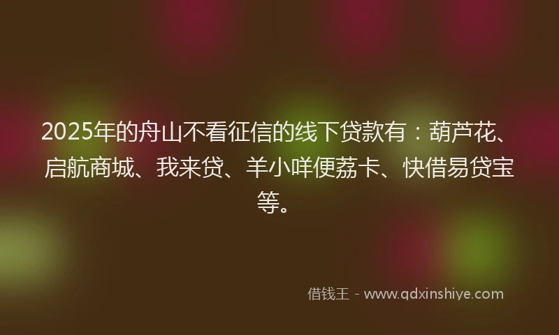2025年的舟山不看征信的线下贷款有：葫芦花、启航商城、我来贷、羊小咩便荔卡、快借易贷宝等。