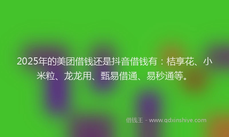 2025年的美团借钱还是抖音借钱有：桔享花、小米粒、龙龙用、甄易借通、易秒通等。