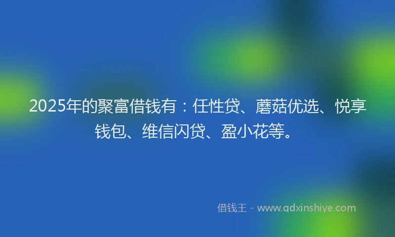 2025年的聚富借钱有：任性贷、蘑菇优选、悦享钱包、维信闪贷、盈小花等。