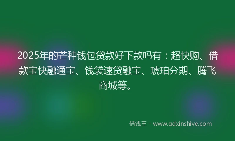 2025年的芒种钱包贷款好下款吗有:超快购、借款宝快融通宝、钱袋速贷融宝、琥珀分期、腾飞商城等。