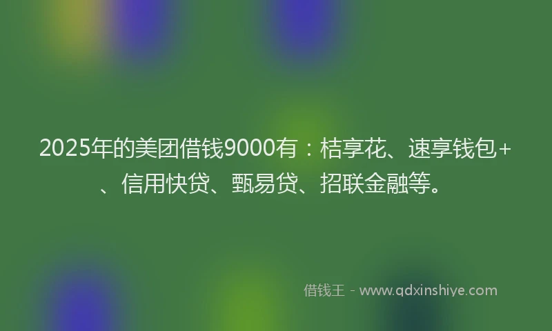 2025年的美团借钱9000有：桔享花、速享钱包+、信用快贷、甄易贷、招联金融等。
