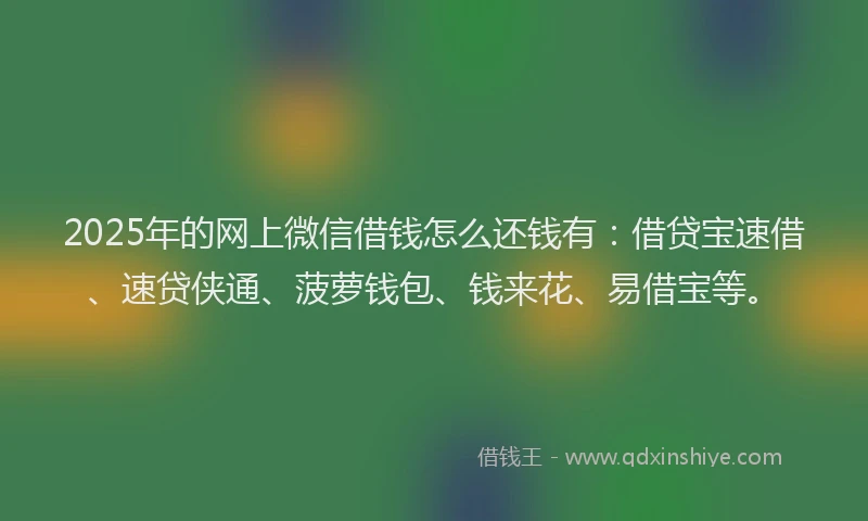 2025年的网上微信借钱怎么还钱有：借贷宝速借、速贷侠通、菠萝钱包、钱来花、易借宝等。