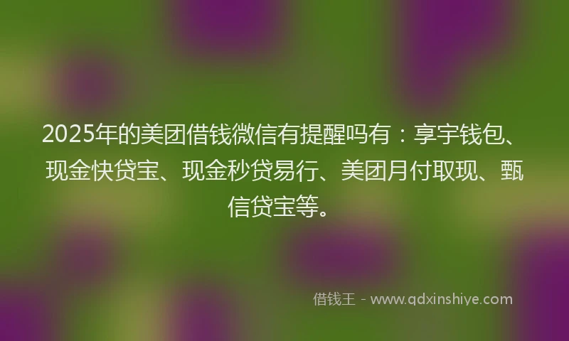 2025年的美团借钱微信有提醒吗有：享宇钱包、现金快贷宝、现金秒贷易行、美团月付取现、甄信贷宝等。