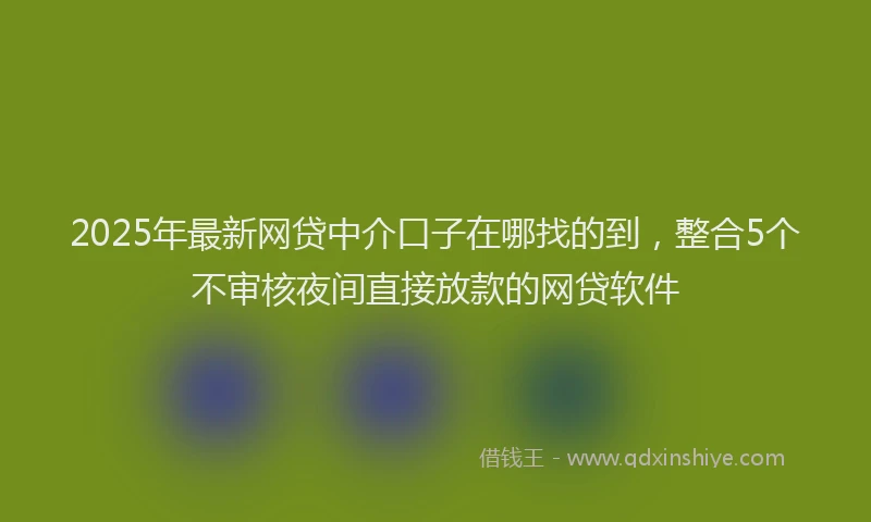 2025年最新网贷中介口子在哪找的到，整合5个不审核夜间直接放款的网贷软件