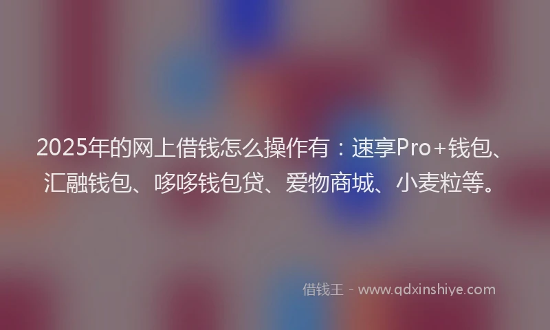 2025年的网上借钱怎么操作有：速享Pro+钱包、汇融钱包、哆哆钱包贷、爱物商城、小麦粒等。