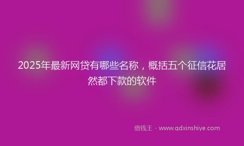 2025年最新网贷有哪些名称，概括五个征信花居然都下款的软件