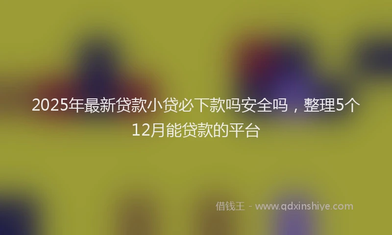 2025年最新贷款小贷必下款吗安全吗，整理5个12月能贷款的平台