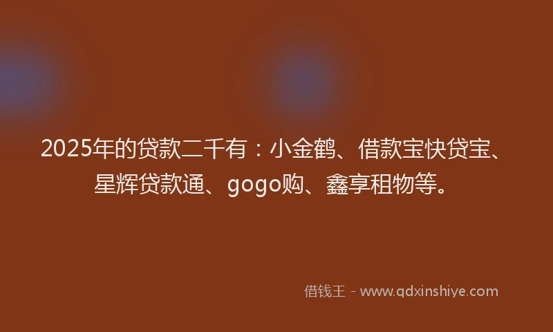 2025年的贷款二千有：小金鹤、借款宝快贷宝、星辉贷款通、gogo购、鑫享租物等。