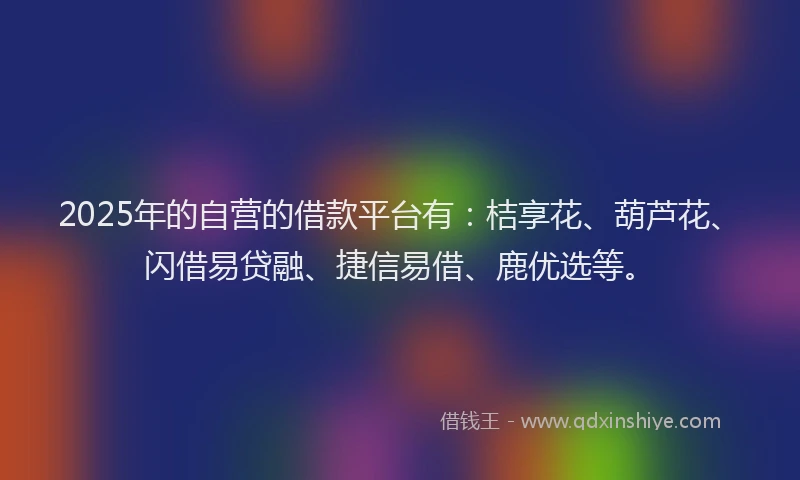 2025年的自营的借款平台有：桔享花、葫芦花、闪借易贷融、捷信易借、鹿优选等。