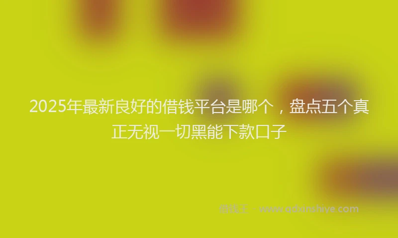 2025年最新良好的借钱平台是哪个，盘点五个真正无视一切黑能下款口子