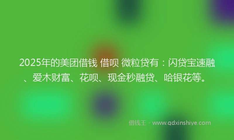2025年的美团借钱 借呗 微粒贷有：闪贷宝速融、爱木财富、花呗、现金秒融贷、哈银花等。